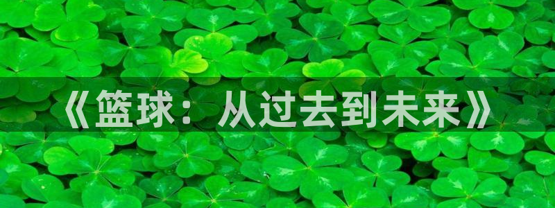 《篮球：从过去到未来》