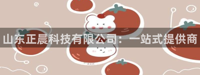 山东正晨科技有限公司：一站式提供商